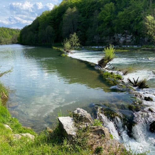 4 TREES Holiday House