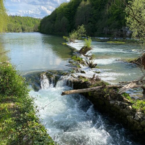 4 TREES Holiday House